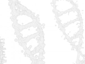 DNA Genetic Molecule 3D 模型