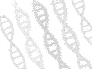 DNA Genetic Molecule 3D 模型