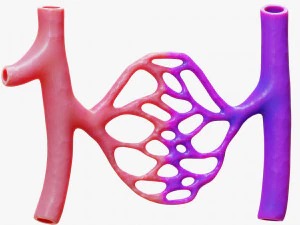 Blood Vessels 3D Model