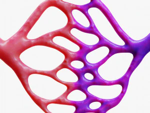 Blood Vessels 3D Model
