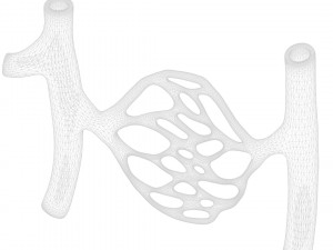Blood Vessels 3Dモデル