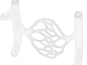 Blood Vessels 3D Model
