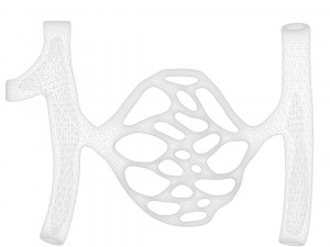 Blood Vessels 3Dモデル