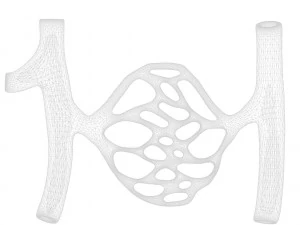 Blood Vessels 3D Model