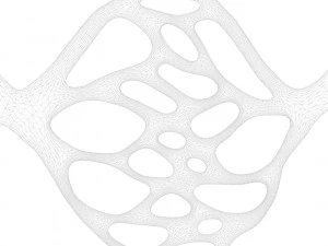 Blood Vessels 3D Model