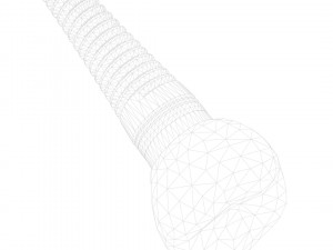 Dental Implant Animation 3D Model