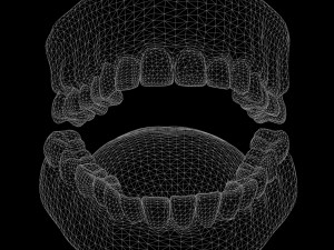 Human Mouth Teeth Tongue Model 3D