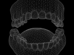 Human Mouth Teeth Tongue 3D Model