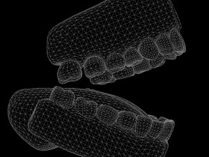 Human Mouth Teeth Tongue Model 3D