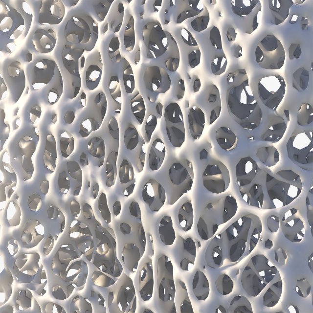 Bone Structure Sponge 3D 모델 .c4d .max .obj .3ds .fbx .stl .blend 