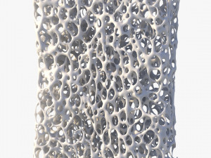 Bone Structure Sponge 3D 모델