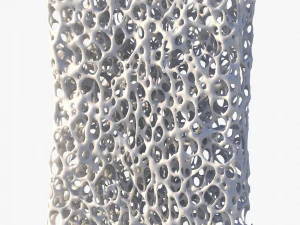 Bone Structure Sponge 3D Model