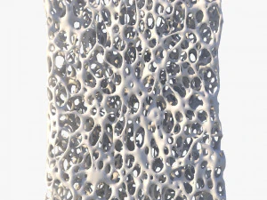 Bone Structure Sponge 3D Model