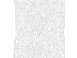 Bone Structure Sponge 3D 모델