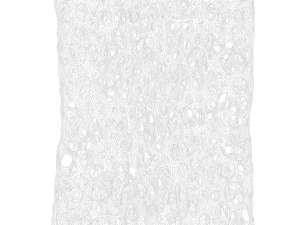 Bone Structure Sponge 3D Model