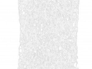 Bone Structure Sponge 3D 모델