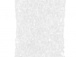 Bone Structure Sponge 3D Model