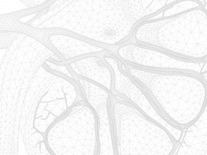 Human Kidney Anatomy Cross Section 3D Модель