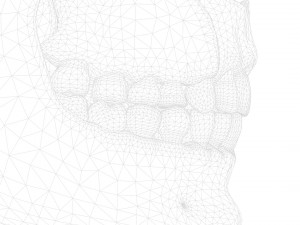 Tooth Structure Bone Anatomy Model 3D