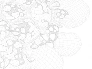 Fat Cell Anatomy 3D Model