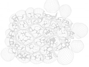 Fat Cell Anatomy 3D मॉडल