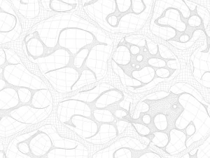 Fat Cell Anatomy 3D Model