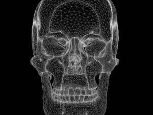 Human Skull Explode Anatomy Atlas 3D Model