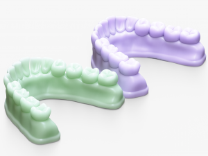 Dentures Mold 3D Модель