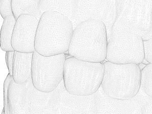 Dentures Mold 3D Модель