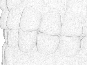 Molde para dentaduras Modelo 3D