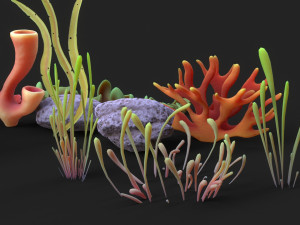 Coral Reef Low-poly 3D Model