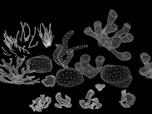 Coral Reef Low-poly 3D Model