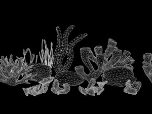 Coral Reef Low-poly 3D Model