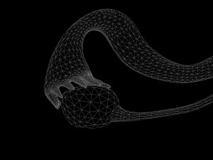 Female Reproductive System 3D Model