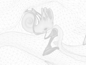 Ear Anatomy Structure Open Modello 3D