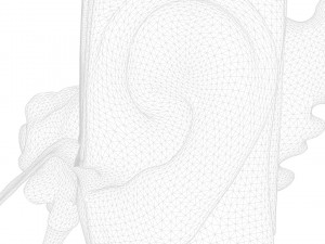 Ear Anatomy Structure Open Modello 3D