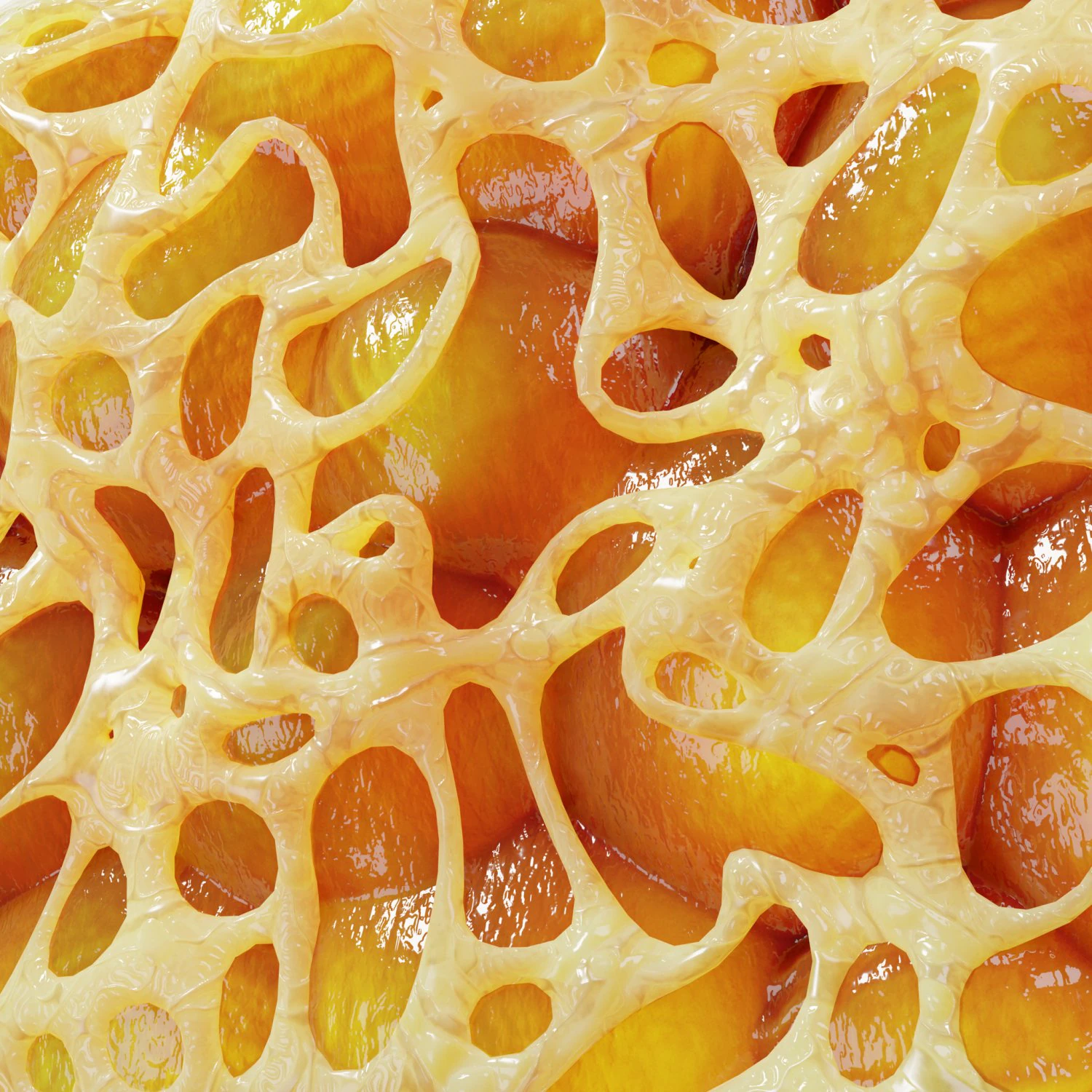Fat Cell Anatomy 3D Model .c4d .max .obj .3ds .fbx .stl .blend 