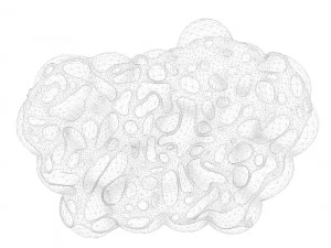 Fat Cell Anatomy 3D Model