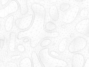 Fat Cell Anatomy Modelo 3D