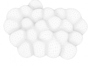 Fat Cell Anatomy Modelo 3D