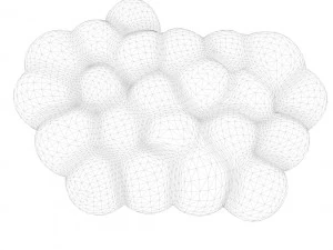 Fat Cell Anatomy 3D Model