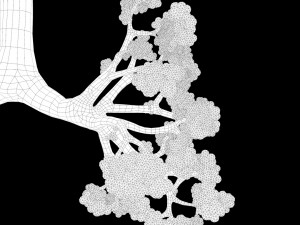 Human Respiratory System Lungs 3D मॉडल