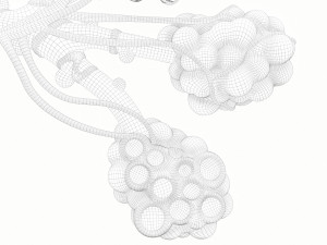 Realistic Human Bronchi Alveoli Anatomy 3D Model