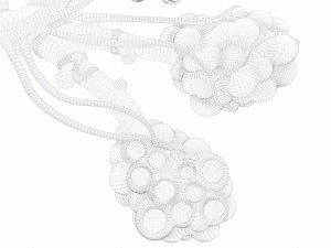 Anatomia realista dos alv&eacute;olos dos br&ocirc;nquios humanos Modelo 3D