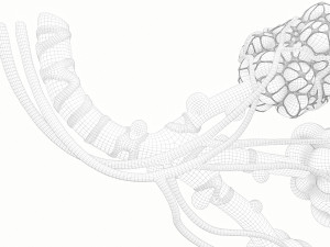 Realistic Human Bronchi Alveoli Anatomy 3D Model