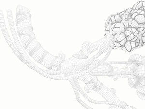 Anatomia realista dos alv&eacute;olos dos br&ocirc;nquios humanos Modelo 3D