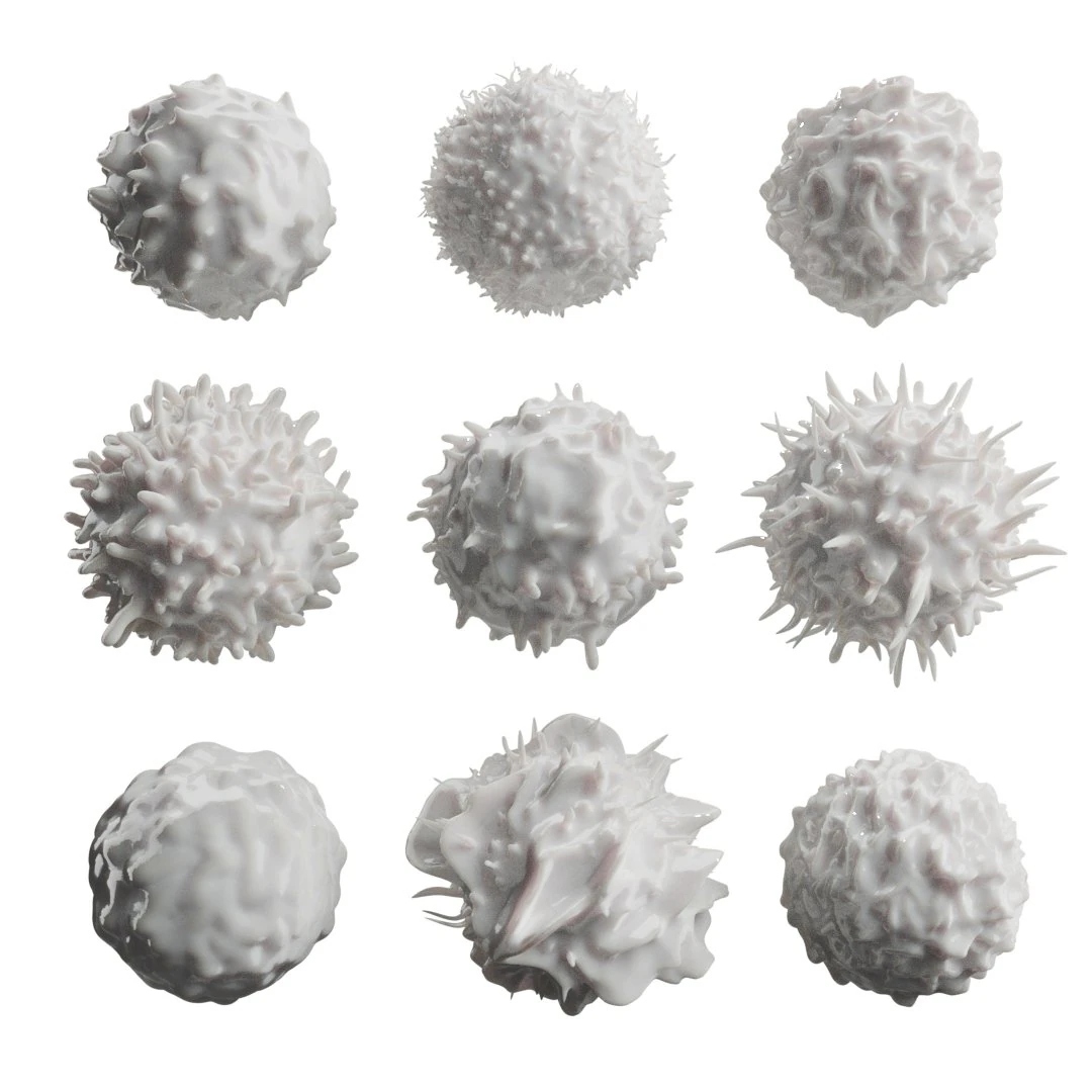 Lymphocytes Pack 3D Model .c4d .max .obj .3ds .fbx .stl .blend 