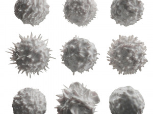 Lymphocytes Pack Modelo 3D