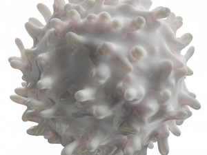Lymphocytes Pack Modelo 3D