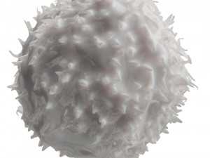 Lymphocytes Pack Modelo 3D